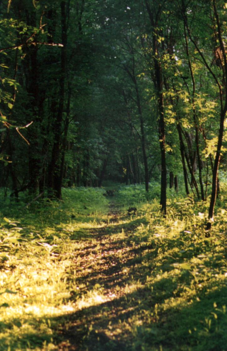 Pike Island at Fort Snelling State Park, Minnesota